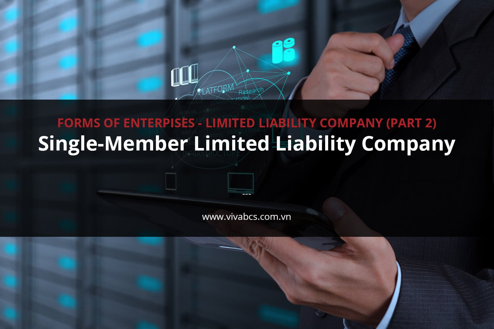 Single Member Limited Liability Companies – WTRDQ